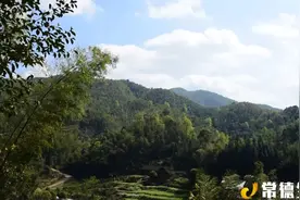 常德花岩溪发现国家一级保护动物！看看是啥!图片