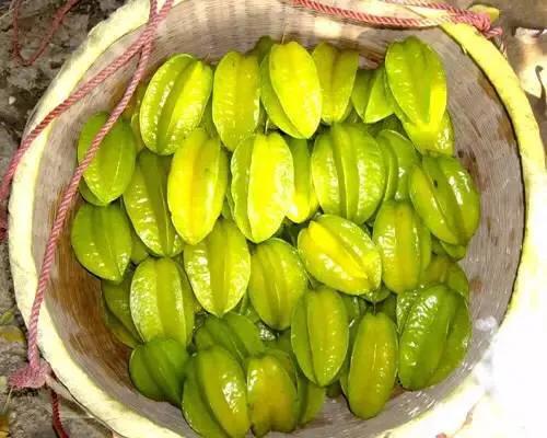 海南的水果上市时间表你知道有什么水果吗？