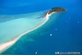 聚焦：澳洲入境重大变更：出发前填写申报表，否则连飞机都登不上图片