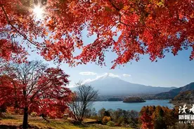 10条永不过时的家庭哲学，告诉你什么样的爱，才能让彼此获得幸福图片