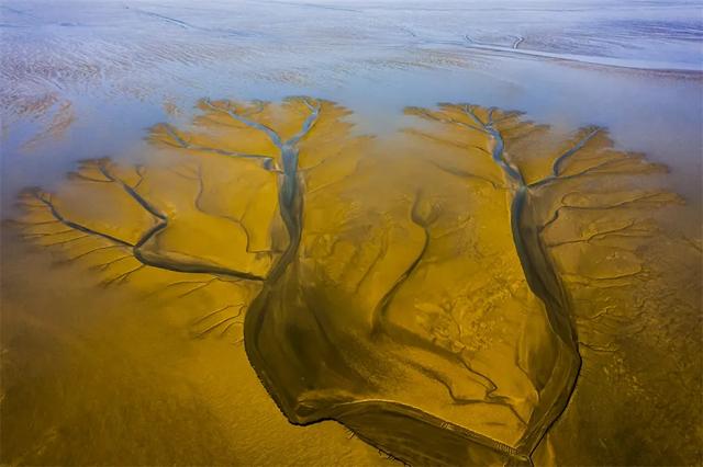 图赏 | 摄影如奇遇,有心得相逢