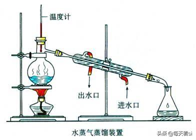 因疫情不能去学校，在家学习生物选修一知识点