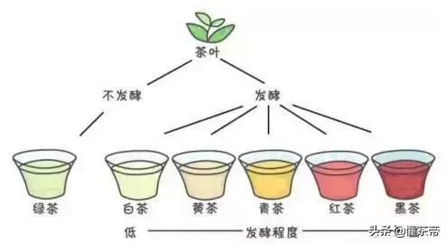 茶叶的六大主要成分(茶叶中的三大成分)