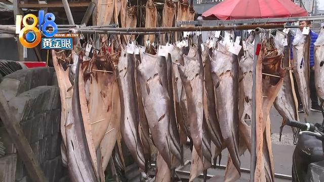 一斤鲜鳗鱼出多少鳗鱼干 2026年一斤鲜鳗鱼出多少鳗鱼干正常