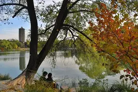 未名湖、静园、燕南园……北大秋色的美，是你想象不到的图片