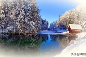 秋季以后，蜂群中的雄蜂秘密消失，都去哪了？养蜂人发现神奇一幕图片