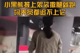 逗趣丨小黑熊穿上袈裟撒腿就跑图片