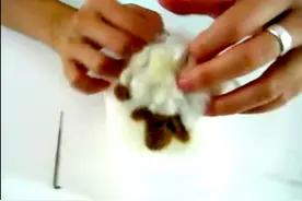 分享外网上的羊毛毡小绵羊制作过程图片
