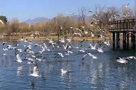 人生终究是一场独自的旅程，少刷朋友圈，多和自己联结，享受独处图片
