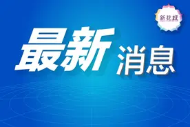 广东省人民政府任免工作人员图片