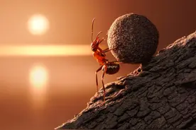 心理学家：一个人开始走运时，往往会有这3个迹象图片