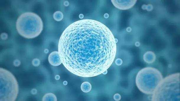 「神奇的小分子活性肽」第一章·第二节小分子肽、蛋白质和氨基酸