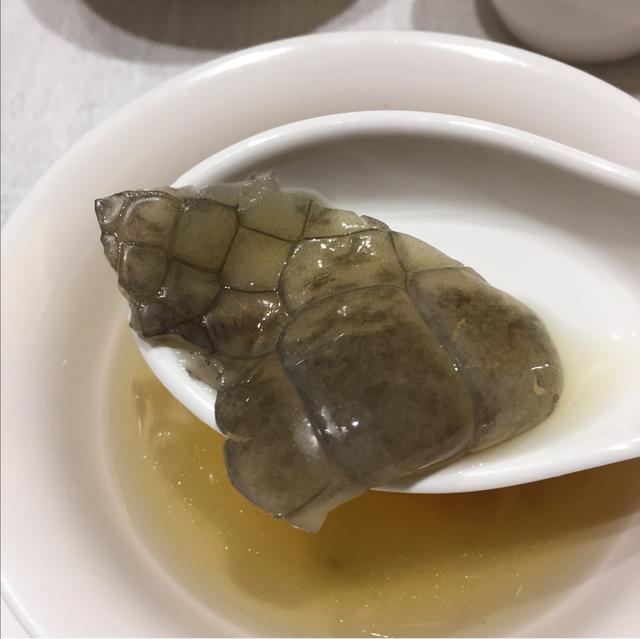 花胶可以和鳄鱼肉干一起煲汤吗 2026年花胶可以和鳄鱼肉干一起煲汤吗