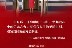 每一抹中国红都和孟晚舟说欢迎回家图片