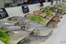 3种海鲜价格贵，但老渔民却很少吃，寄生虫多，很多人偏偏爱买图片