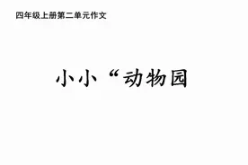 四年级上册第二单元《我家的小小“动物园”》教学策略图片
