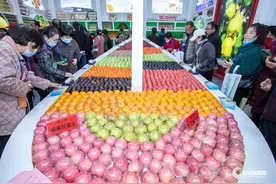 第六届山西（运城）国际果品交易博览会盛大开启图片