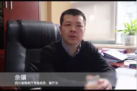 跨境电商阿里“云峰会”四川首发：川企最具出海商机的五大行业图片