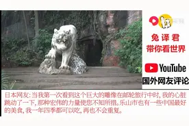 外国网友评价乐山大佛：中国创造力的另一个例子，这里没有外星人图片