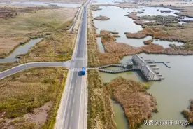 航拍东营黄河三角洲，广袤的湿地一望无际，壮观图片