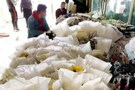 一天卖出万余支菊花 清明祭祀鲜花热销图片
