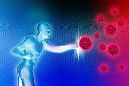 蛋白质如何提高免疫力？如何补充足够蛋白质？