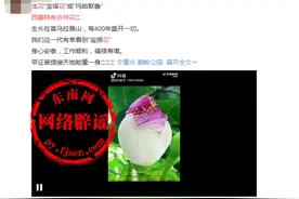 网传“西藏特有的宝塔花每400年盛开一次”？假的图片