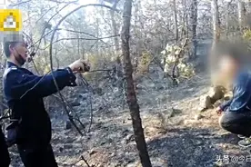 清明节上山扫墓，随时扔一根烟头引发山火，过火面积达百亩！云南男子被刑拘：我以为踩灭了图片