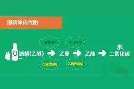 每天一杯酒，活到九十九？图片