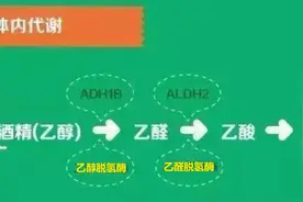 每天一杯酒，活到九十九？图片