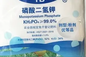 酸二氢钾能控旺，是真的吗？如何使用磷酸二氢钾控旺？图片