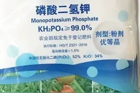 酸二氢钾能控旺，是真的吗？如何使用磷酸二氢钾控旺？图片