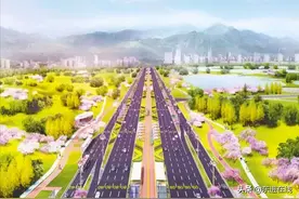 龙泉驿“城市规划”重点内容图片