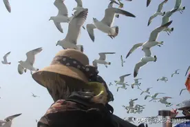 山东烟台蓬莱长岛游图片