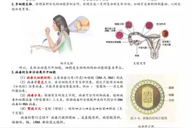 高中生物知识点总结，彩图版，重点难点一目了然图片