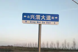 咸阳兴平：兴渭大道即将建成通车图片