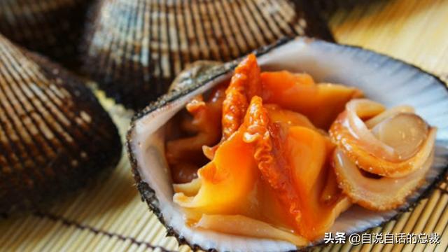 蛤、蚶、蛏、蚝、蚬有什么区别？这是一群美味海怪与人类的故事