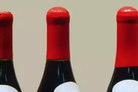 几招教你快速识别你手中葡萄酒的档次？图片