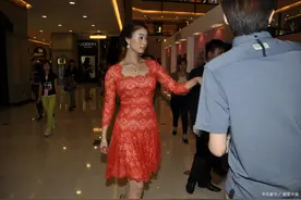蒋欣的母校河南艺术职业学院是民办高校吗？综合实力如何图片