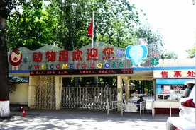 保定街拍，有100年历史的保定动物园，给动物一个舒适的家图片