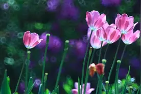 慎独与自省图片