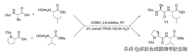 新型的合成肽方法：在水中制备多肽