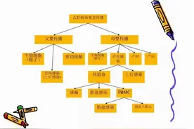 不小心成了乙肝携带者，想当妈妈，怎么办？图片