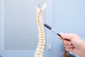 南昌大学二附院系列科普：压弯周董脊梁的恶魔——强直性脊柱炎图片