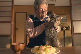 有人花35000元，只为找回一只猫图片