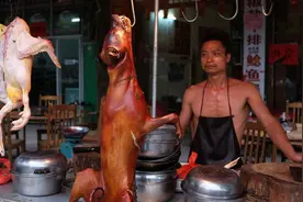 全世界每年吃狗数千万，为何只有“我们”被指责？详解全球狗肉史图片