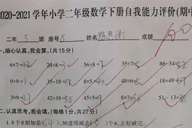 二年级数学下册期中试卷，掌握考试答题技巧，考高分不在话下图片