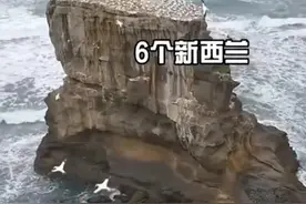 房地产、收购乡村土地等方式的野蛮生长将催生新的地主阶级图片