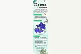“花粉健康宝”小程序今上线，按定位显示附近过敏植物图片