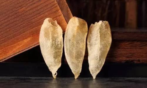 干黄花胶有不新鲜的吗 2026年干黄花胶有不新鲜的吗怎么吃